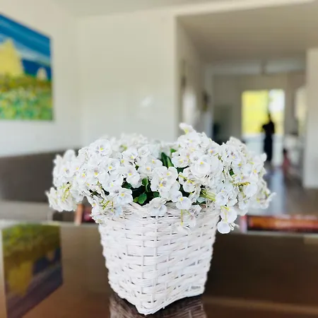 Padova Apartment Sarmeola